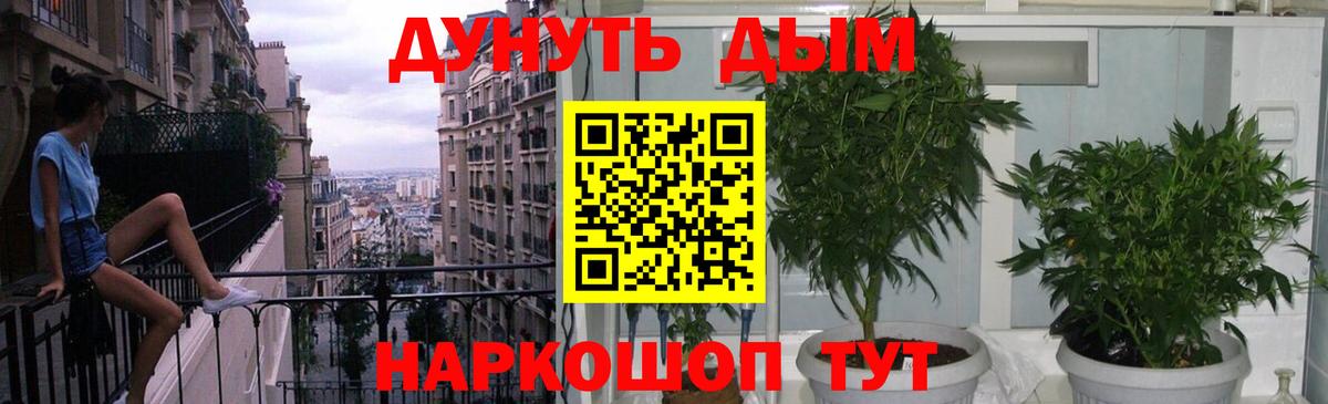 Каннабис индика Будённовск